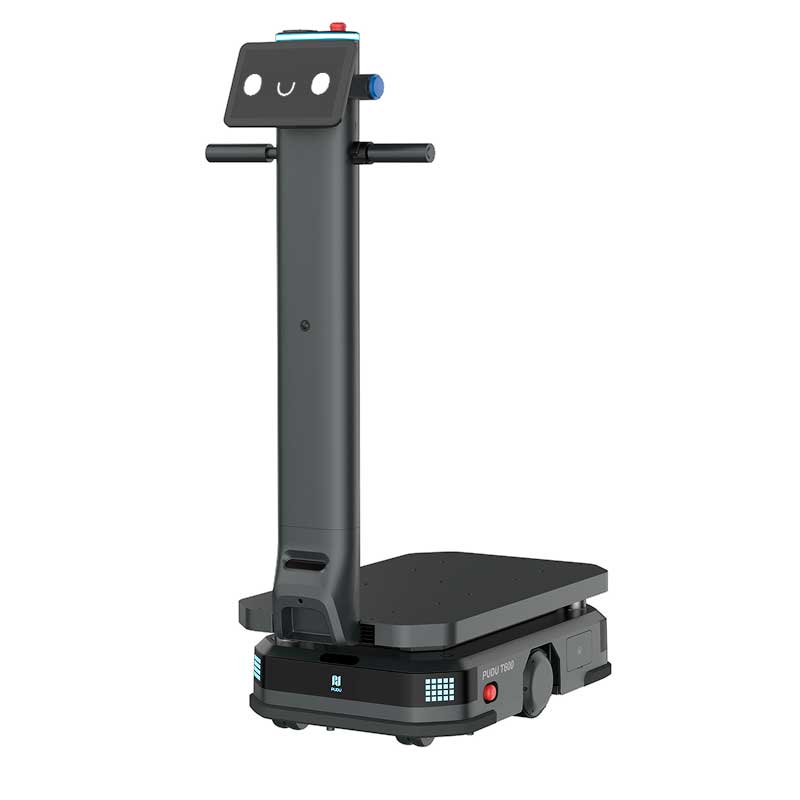 Pudu T600 precio